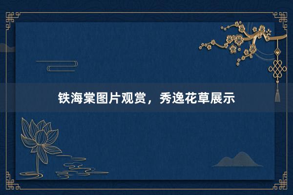 铁海棠图片观赏，秀逸花草展示